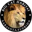 Big Cat Rescue